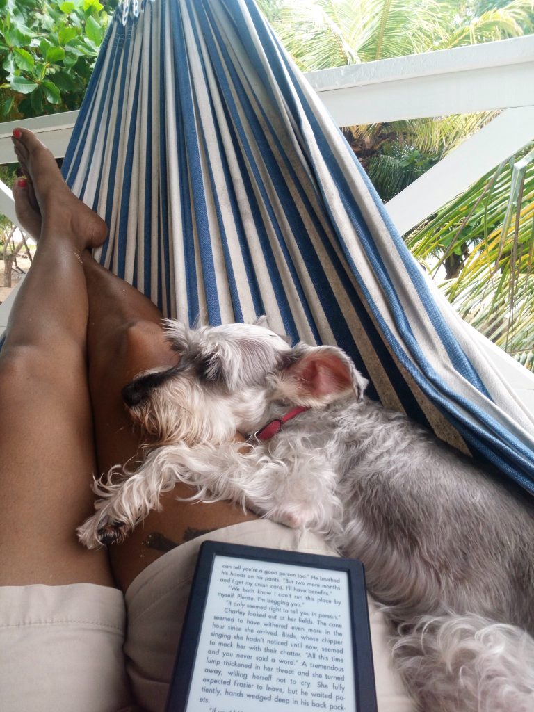 dog and ereader on a hammock